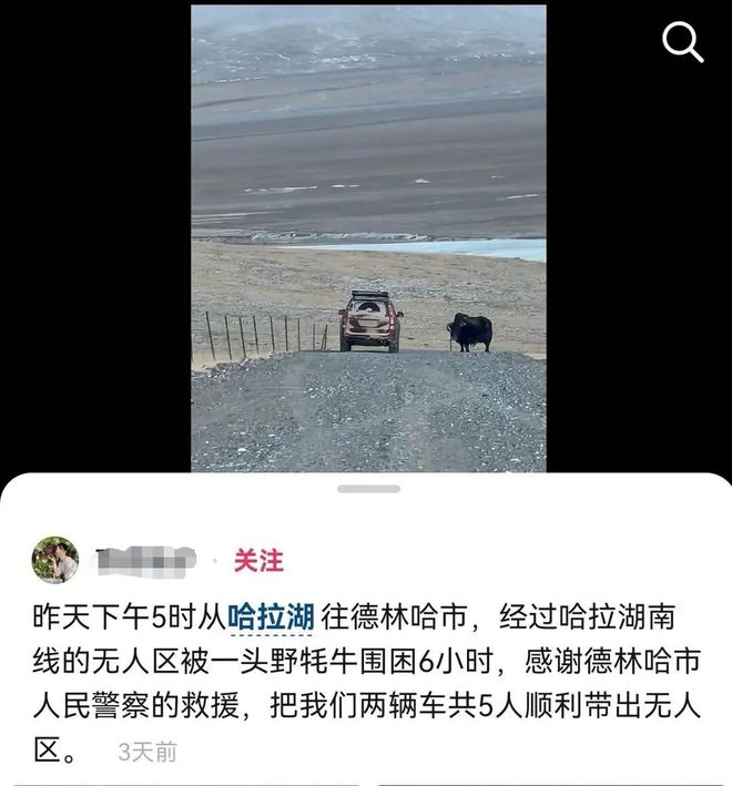 游客自驾青海遭野牦牛拦路，“车稍微动一下，牦牛就摆出攻击姿态”；警方花5个多小时才解救成功，警车差点被冲击
