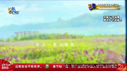 “我们的手机都被控制了......”她离家三天归来，简直变了一个人？哥哥：不吃不睡精神亢奋