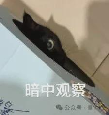 阶跃星辰闯进季后赛,强势进入AI“新六小虎”领军行列