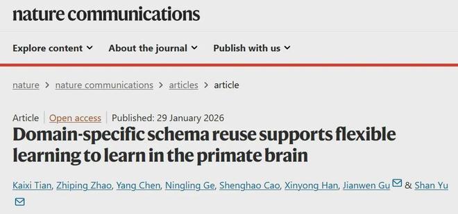 研究揭秘大脑如何实现触类旁通的神经过程，解答学习稳定性和灵活性之间的平衡之谜