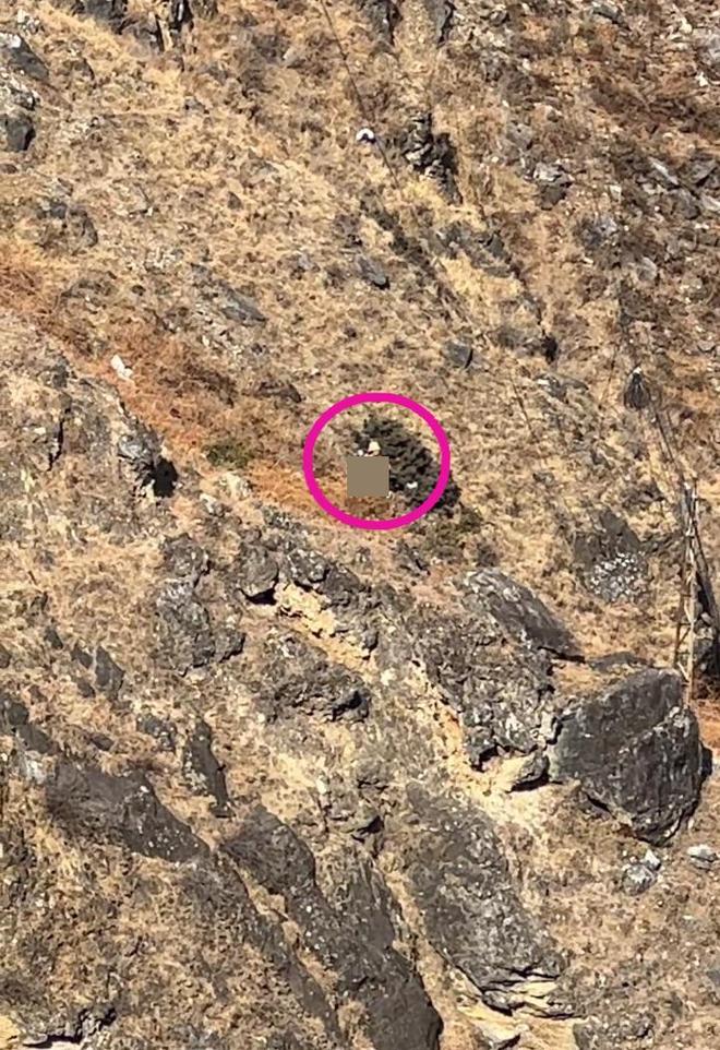 一男童大年初五在虎跳峡坠崖不幸遇难，当地：是和爸爸奶奶一起来游玩的，事发地系未开放区域，不在景区内