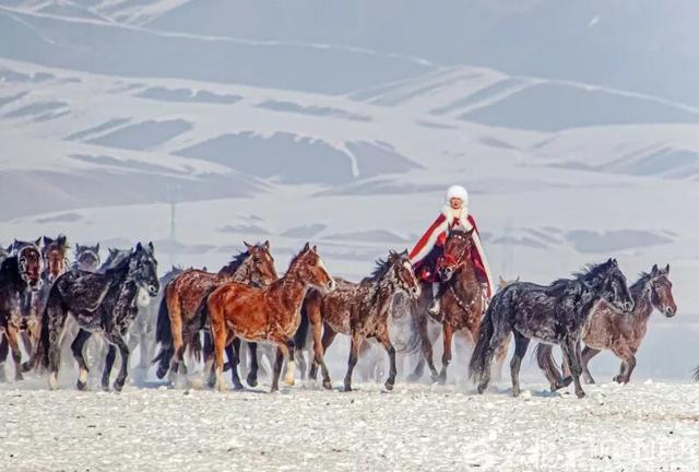 贺娇龙在意外事故中受伤详情公布：拍摄过程中马匹受惊狂奔导致摔伤，虽自行起身称头部不适，但最终确诊为严重颅内伤害并实施了两次开颅手术治疗
