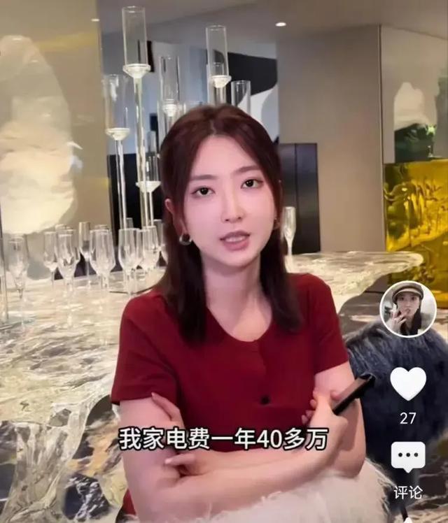 家里一年电费超40万！千万网红妻子晒豪宅高调“炫富”引争议，已被禁言