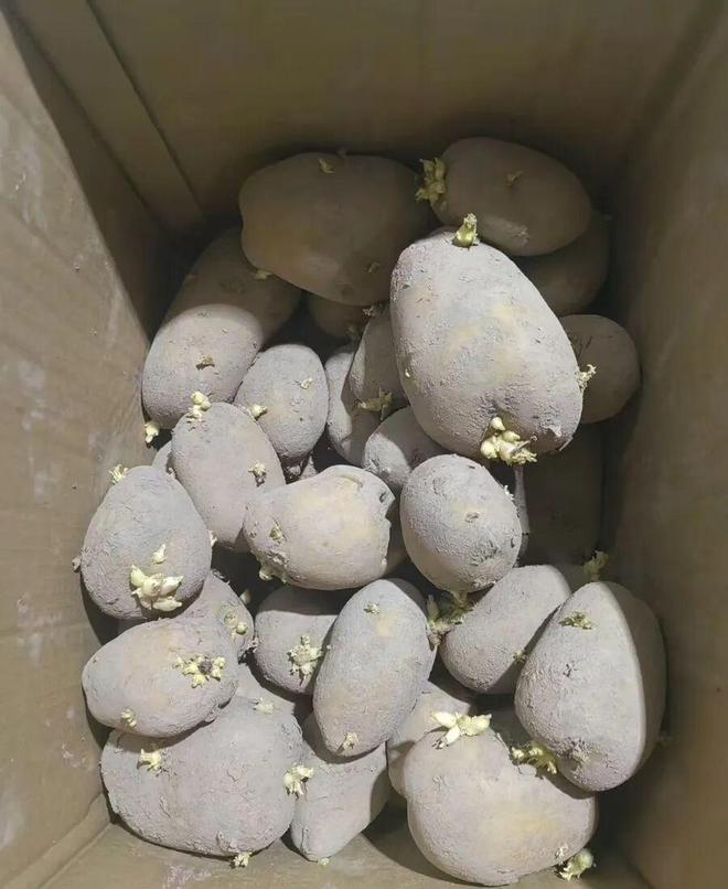 7.6元网购2500克土豆，男子食用后连续两年饱受折磨！医生提醒
