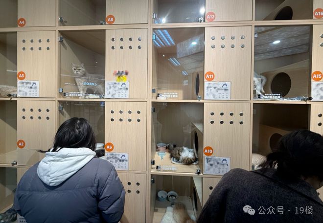 需求暴涨！有人短短两周收入9000元！不少店家：满额，停止接单