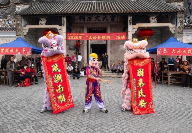 广州龙岗古村举办“太公分猪肉”活动：60岁以上人人有份，一共分了4300多斤！有村民第一次分到“福肉”：阖家团聚吃红烧肉