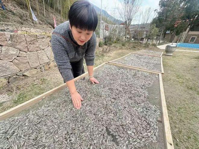 欠下6000斤“瓜子债”，杭州“瓜子女王”年前终于还清了