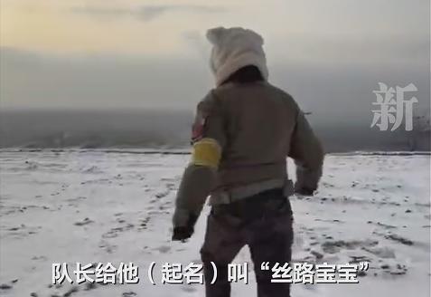 女子去医院看感冒,结果生了个娃!得知怀孕到生产仅10小时…