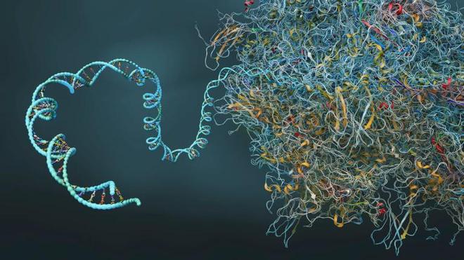 11月21日国外科学媒体聚焦：哈佛研究组重大进展，单次注射或可治愈约四分之一难以根治的遗传性疾病