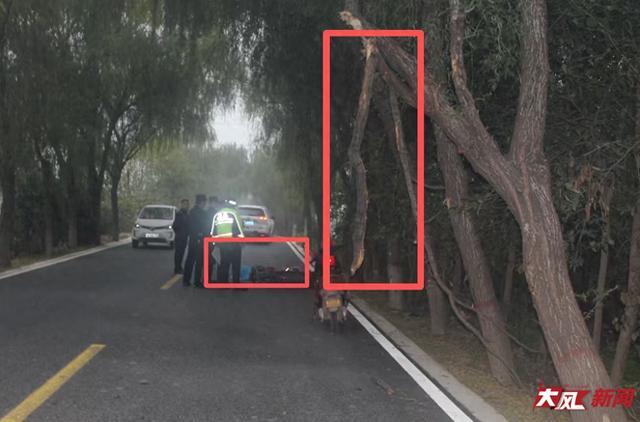 女教师上班路上遭树枝撞击不幸去世 二审确认交警此前超速判定有误 主次责任重新划分