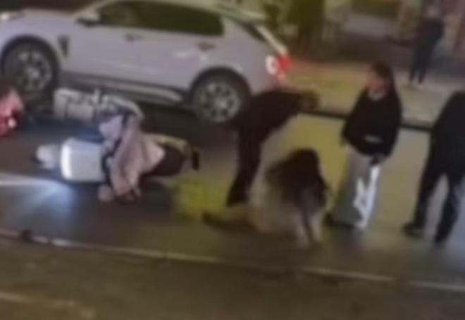 平顶山打人事件涉事夫妇被捕 家乡干部表示意外：二人育有两子 老家房屋倒塌不再村中居住 未曾料到会有此事发生