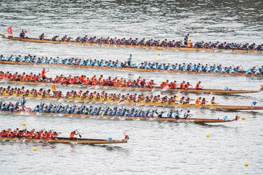 △大湾区一年一度令人热血沸腾的龙舟景。（图/视觉中国）