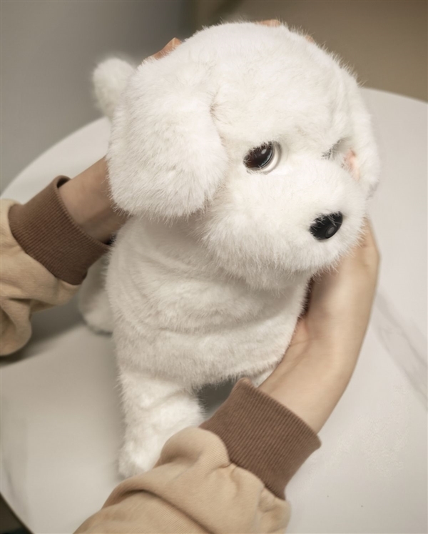 会撒娇能成长！科沃斯毛团陪伴机器人图赏