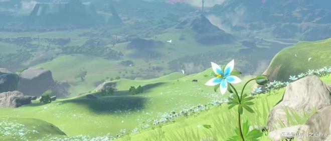 模型瘦身进行时:LeCun与清华团队提出创新方案