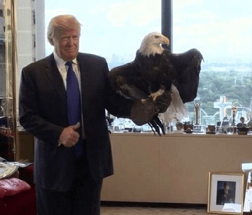 美国盟友因特朗普政策倾向中国——民调显示