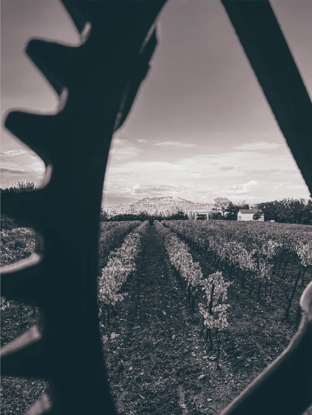 让·米歇尔·奥托内尔,La Grande Croix Rouge,2007-2008