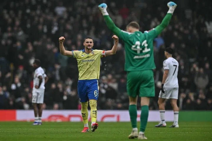 南安普敦绝杀富勒姆 进军英足总杯八强