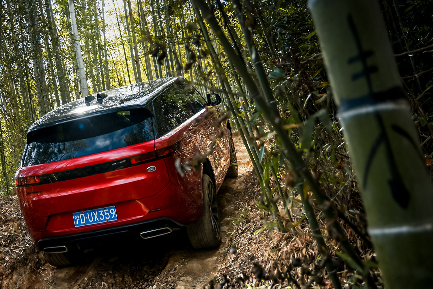 无所不能的全路况“纵情入胜” 试驾2025款揽胜运动版