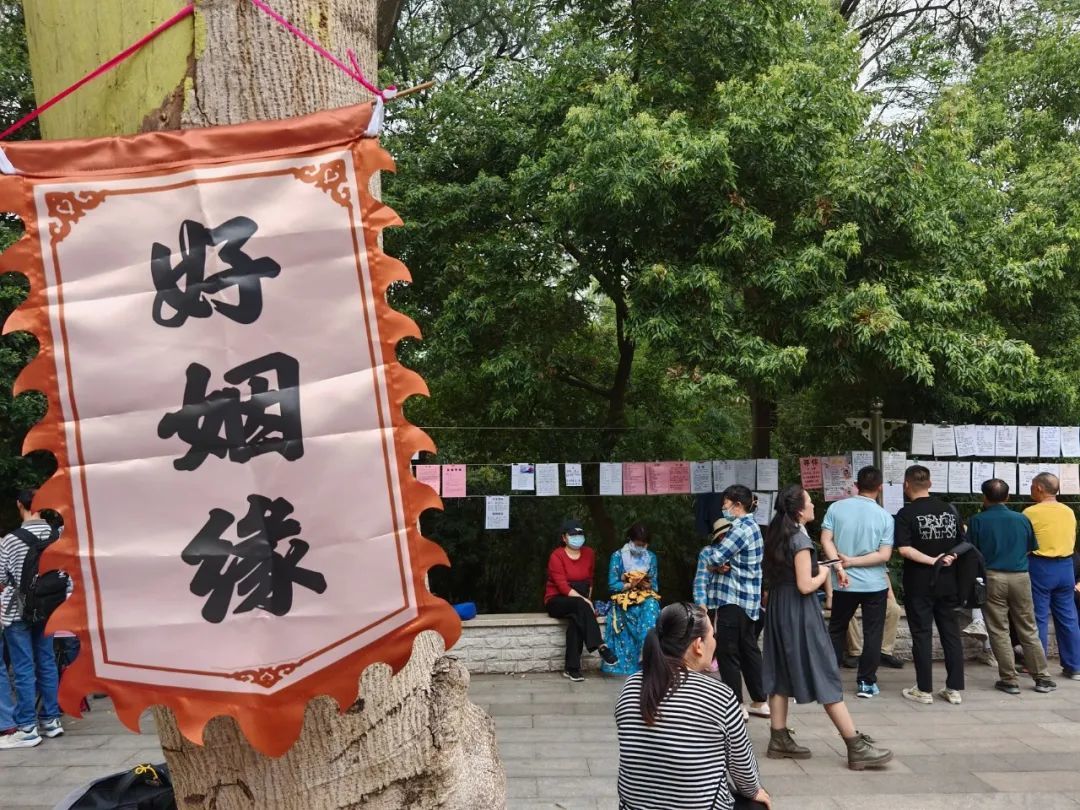 △在相亲角,好姻缘求没求到另说,但好朋友是交到了。(图/视觉中国)