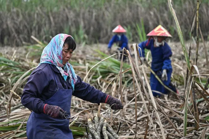 中国政府修订小额信贷规则 支持转向服务农村家庭发展