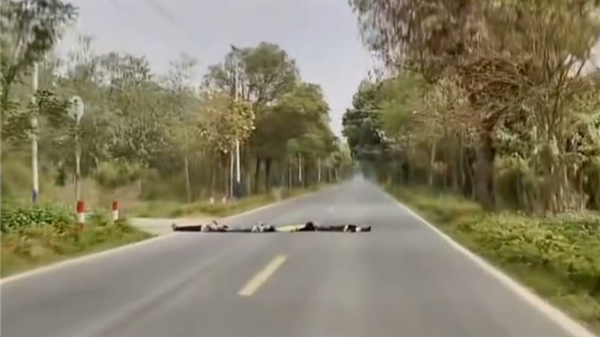 何小鹏谈四童马路躺卧事件:第二代VLA识别减速避险