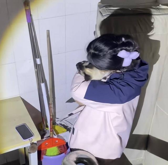 找一次猫狗最高收8000元？揭秘“寻宠师”的世界：这个行业比想象中复杂