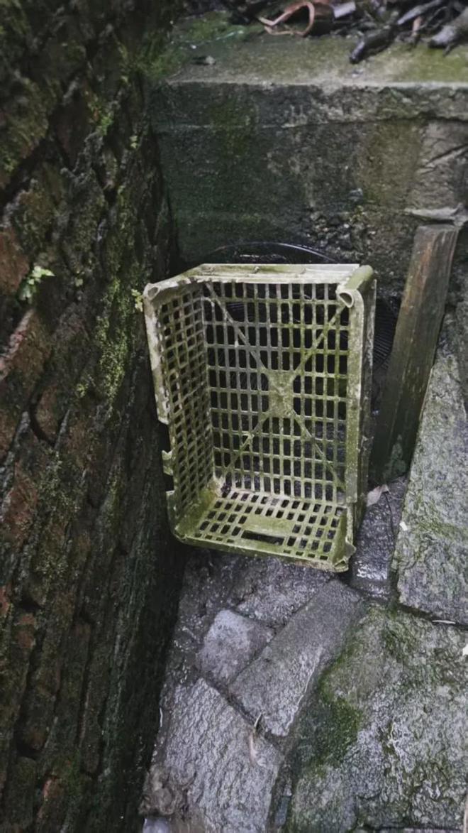 探访“鸭里有黄金”风波下的村镇:当地人讲述疯狂的“淘金往事”,私自淘金早已被禁止