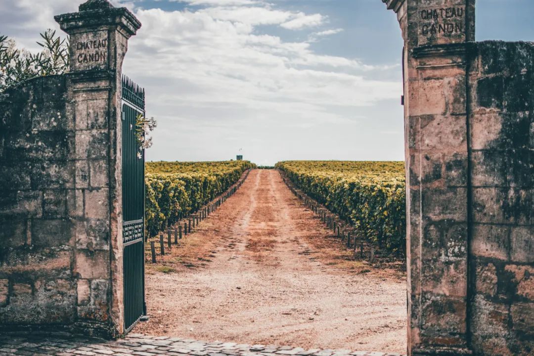 圣埃美隆的葡萄园