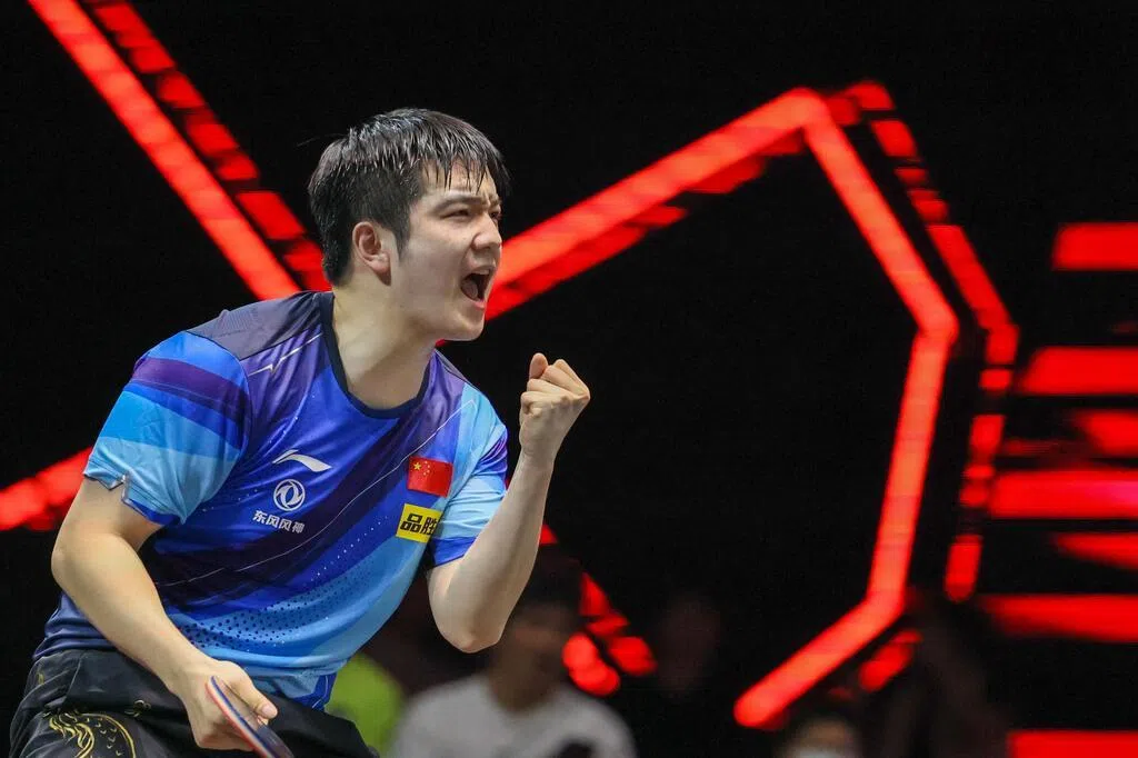 樊振东新赛季剑指德甲 乒乓球名将加盟杜塞尔多夫挑战自我