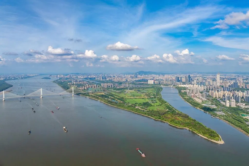 “离岸信誉+近岸研发”新范式 如何重塑中新合作长江之洲