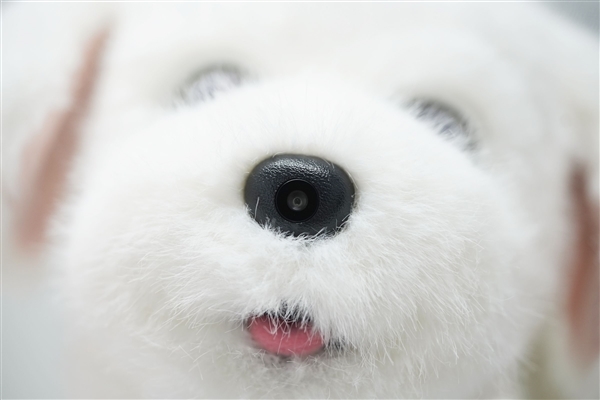 会撒娇能成长！科沃斯毛团陪伴机器人图赏