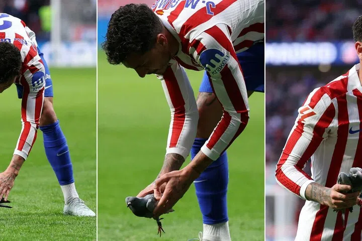 希门尼斯助阵西甲赛场 鸽子意外成为焦点事件