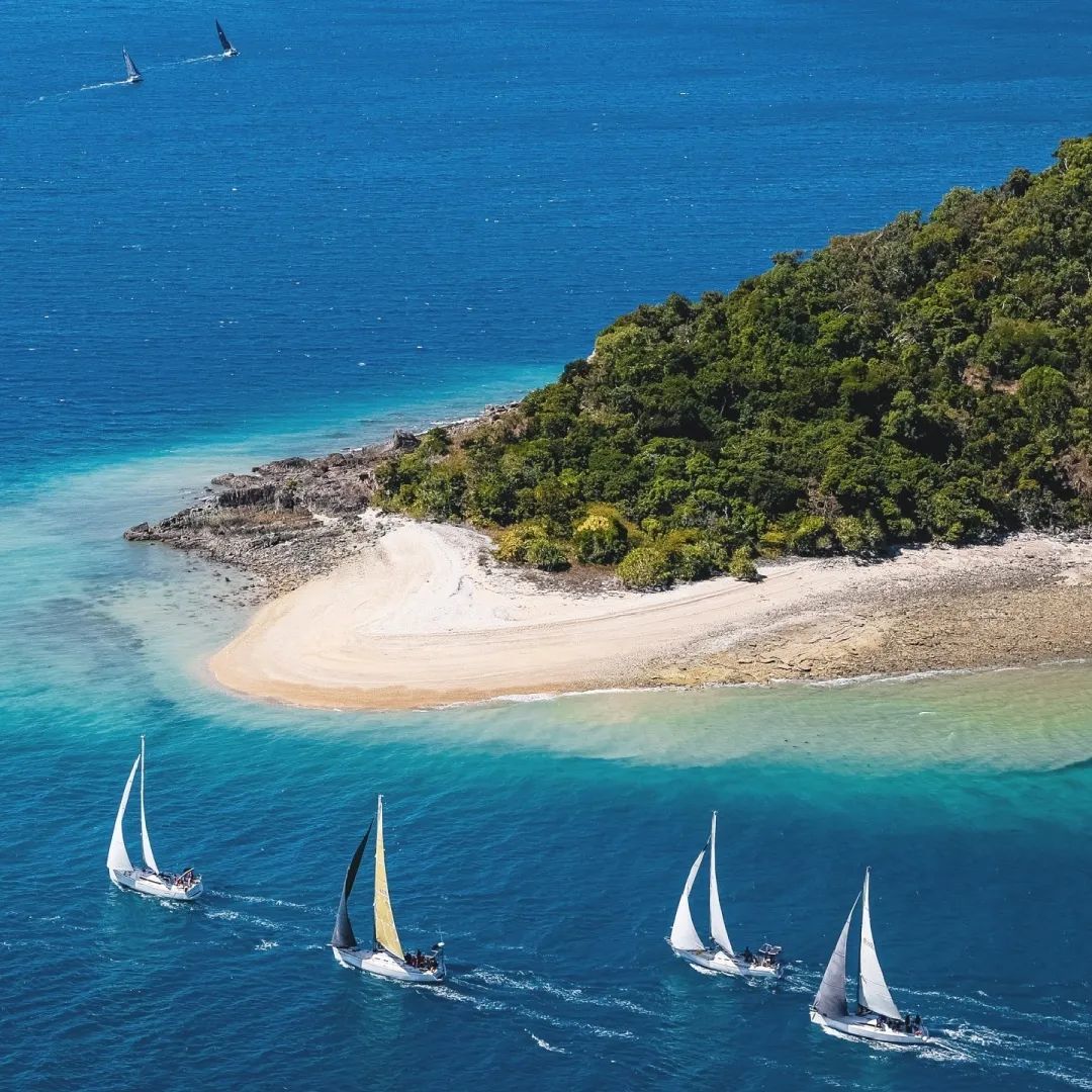 📷 / © Saltydingomedia Via IG