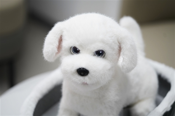 会撒娇能成长！科沃斯毛团陪伴机器人图赏