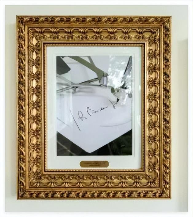 早苗行动引发热议争议