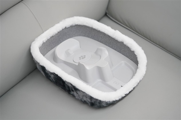 会撒娇能成长！科沃斯毛团陪伴机器人图赏