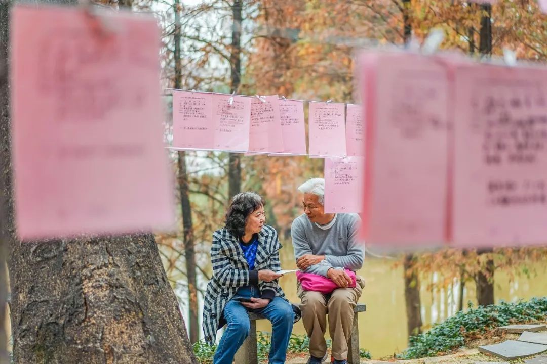 △广州天河公园,两位老人在相亲角迅速攀谈起来。(图/视觉中国)