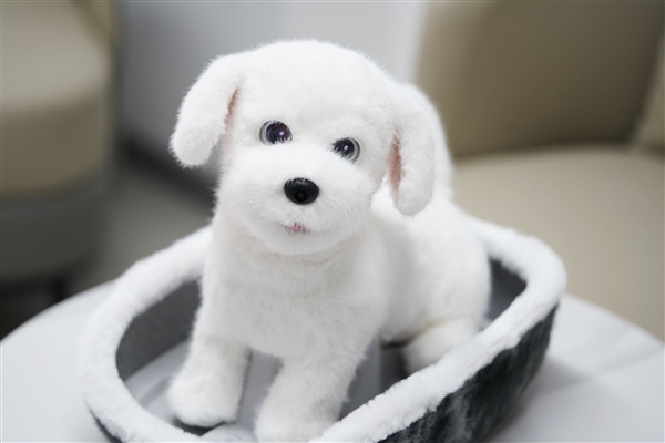 会撒娇能成长！科沃斯毛团陪伴机器人图赏