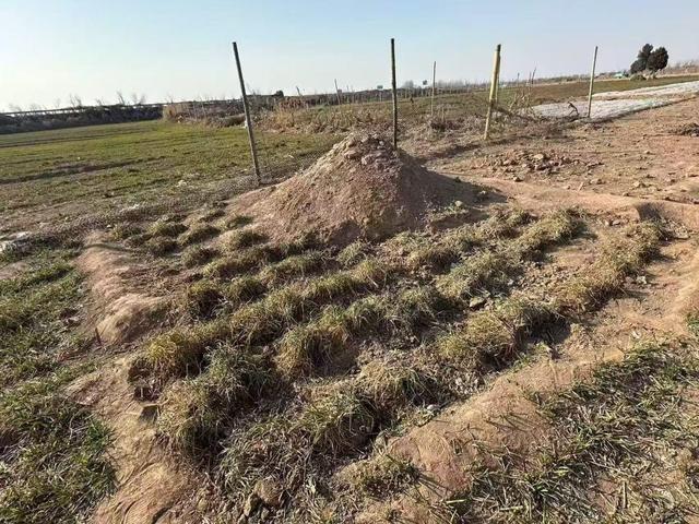 家属发声揭露悲剧:“三姐妹上坟遇难”案中,直播期间两度受到网友死亡威胁,警方已介入调查