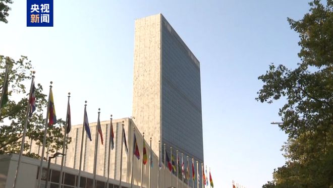 联合国决议：123国支持，包括中国、俄罗斯和伊朗，美国和以色列等三国反对，英法德日等52国弃权，认定为严重反人类罪