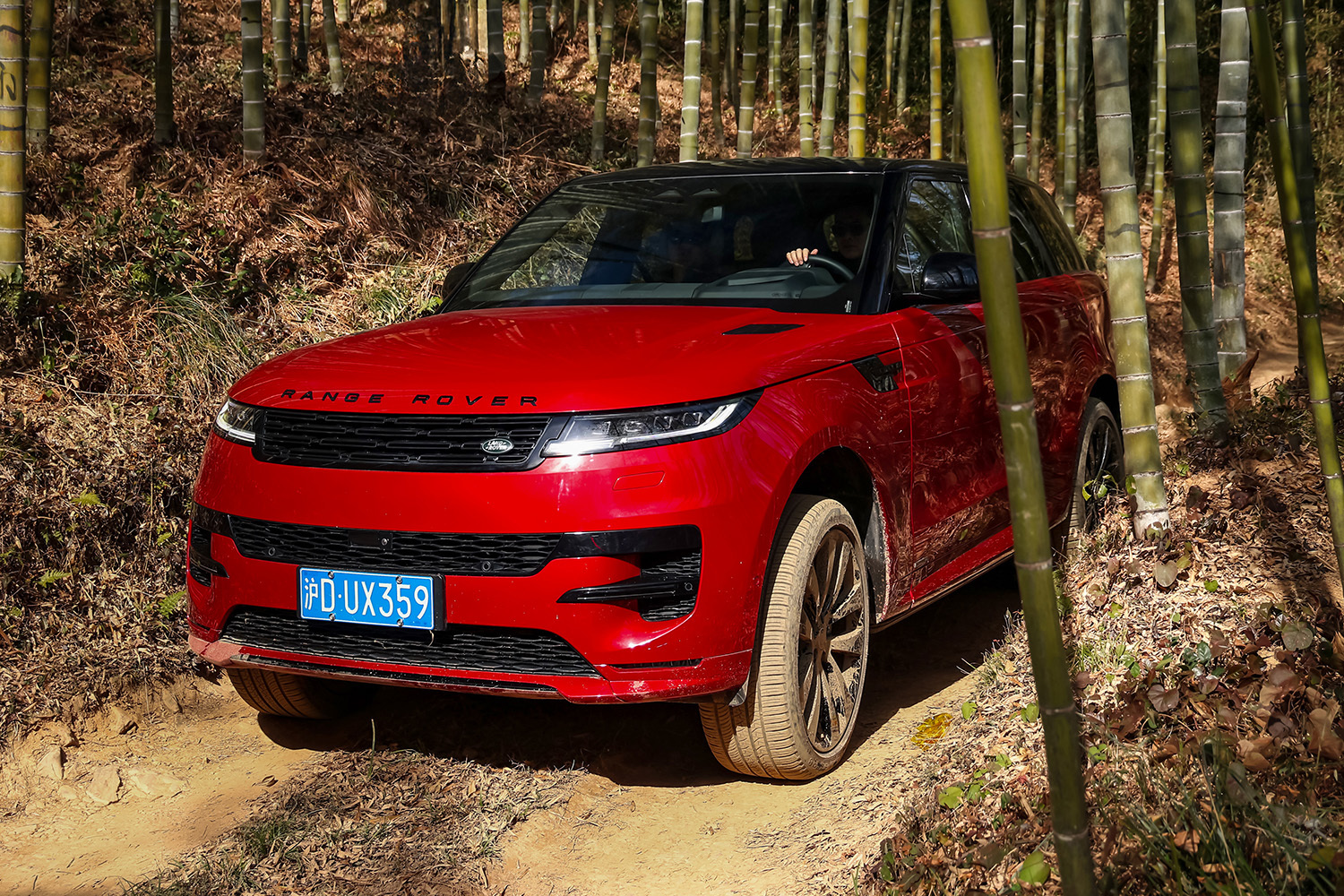 无所不能的全路况“纵情入胜” 试驾2025款揽胜运动版