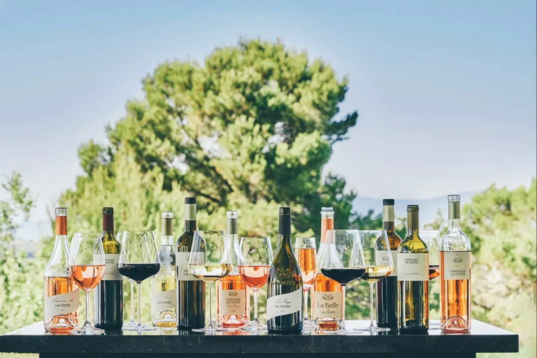 酒厂以及葡萄酒品鉴体验