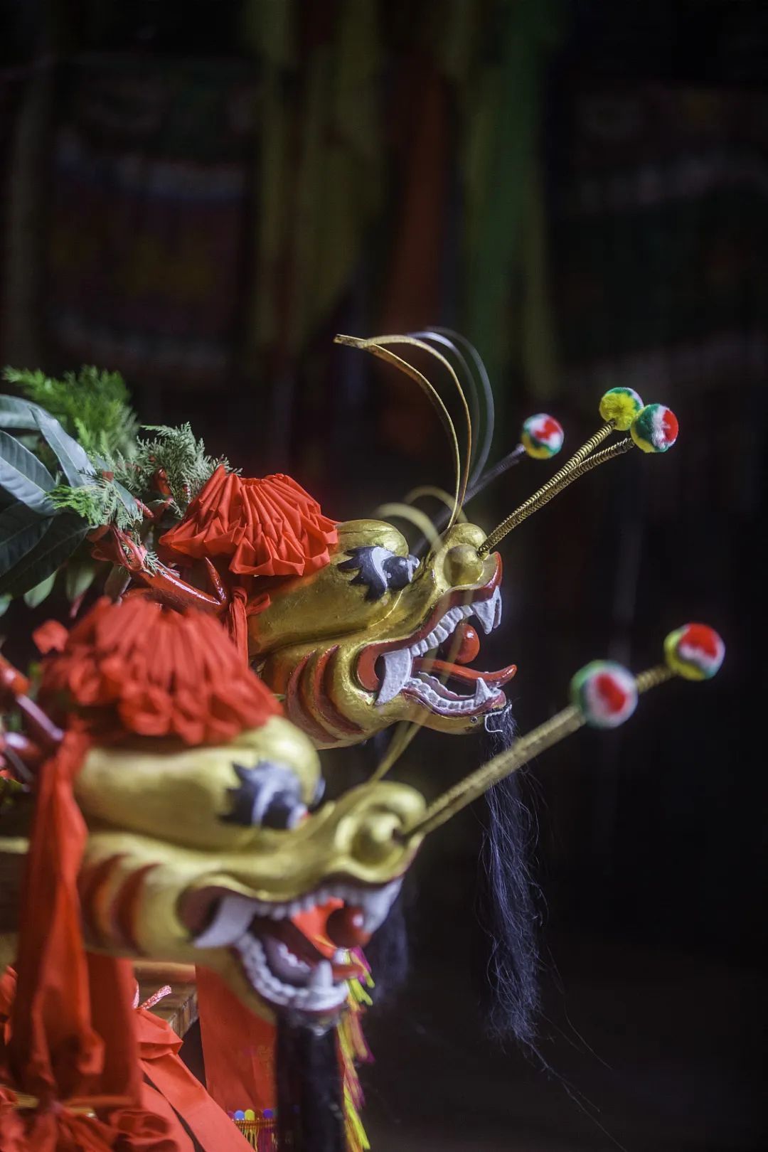 △经过保养和装饰后的龙舟，鲜艳靓丽，在水上神采奕奕。（图/视觉中国）