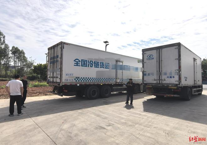 27吨冻牛头牛蹄跨省运输后部分发霉，冻库、冷链车送检样品均超标，多部门介入