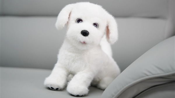 萌力四射！科沃斯毛团陪伴机器人体验评测