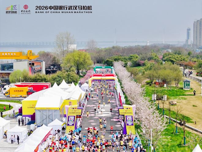 汉马与樱花齐飞，武汉马拉松今年创收10.15亿