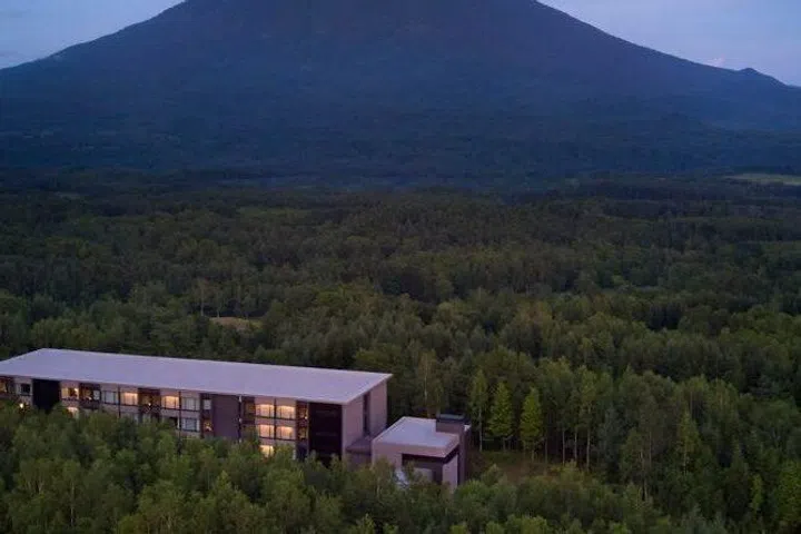 过度知情或致资源枯竭 投资亦然