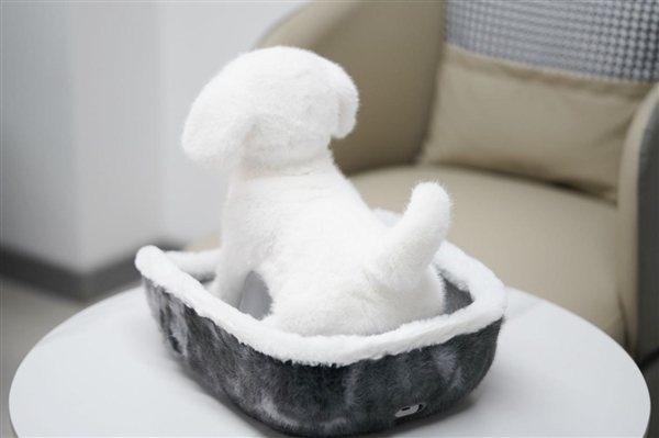 会撒娇能成长！科沃斯毛团陪伴机器人图赏