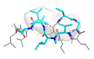 IQuest Research 推出 UBio - MolFM:实现高精度与高速度的生物大分子模拟技术