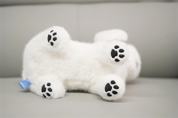 会撒娇能成长！科沃斯毛团陪伴机器人图赏